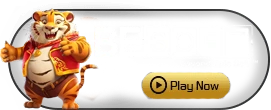 Besoft - BIROPAY28