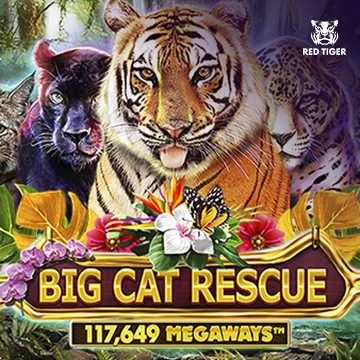 Big Cat Rescue Megaways - BIROPAY28