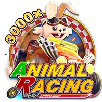ANIMAL RACING - BIROPAY28