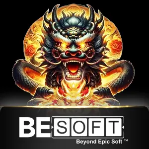 Besoft - BIROPAY28