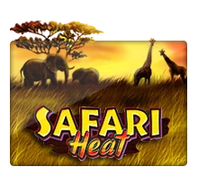 Safari Heat - BIROPAY28