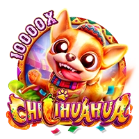 CHILIHUAHUA - BIROPAY28
