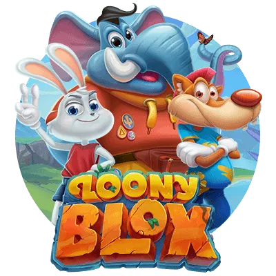 Loony Blox - BIROPAY28
