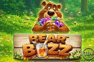 Bear Buzz - BIROPAY28