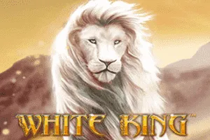 White King - BIROPAY28