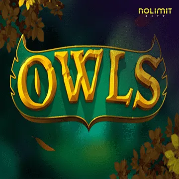 Owls - BIROPAY28