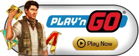 PlaynGo - BIROPAY28