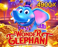 Wonder Elephant - BIROPAY28