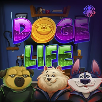 Doge Life - BIROPAY28