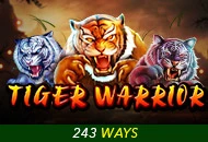 Spadegaming : Tiger Warrior - BIROPAY28