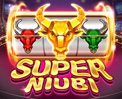 SuperNiubi - BIROPAY28