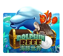 Dolphin Reef - BIROPAY28
