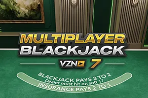 Blackjack VZN 7 - BIROPAY28