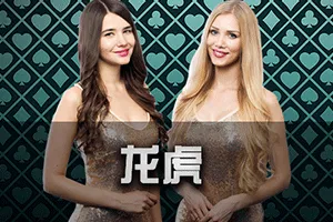 Dragon Tiger - BIROPAY28