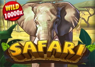 AFB : Safari - BIROPAY28