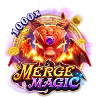 MERGE MAGIC - BIROPAY28
