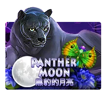 Panther Moon - BIROPAY28