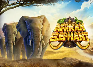 African Elephant - BIROPAY28