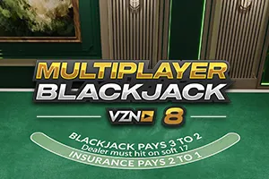 Blackjack VZN 8 - BIROPAY28